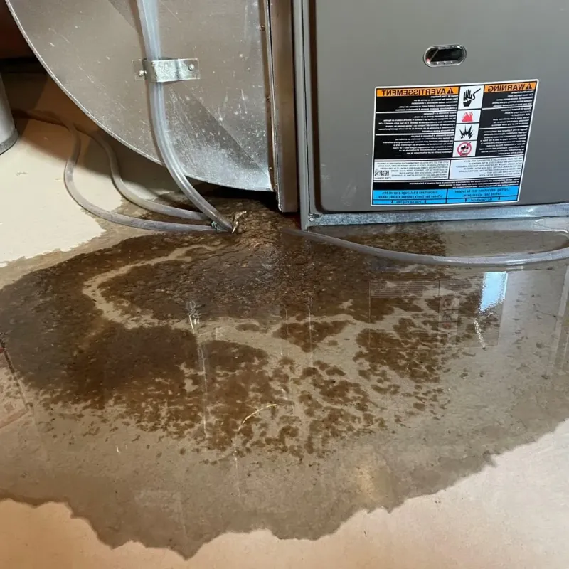 Pipe Burst and Leak Restoration in Allen County, IN