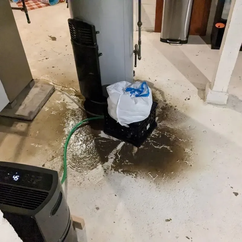 Sewage Backup Cleanup Service in Allen County, IN